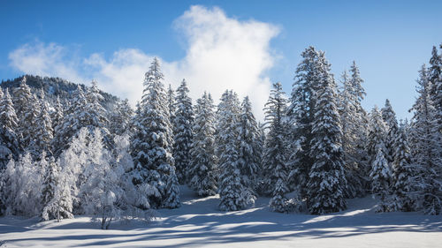 Panoramic view of snow covered mountains against sky