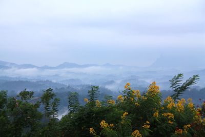 Scenic view of tree mountains against sky