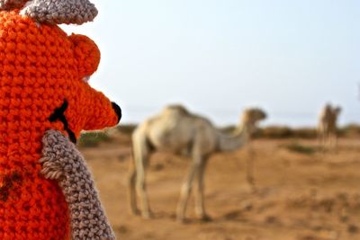 Close-up of knitted toy with camel standing in background