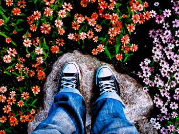 Low section of man standing on flower