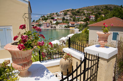 Potted plants on table by houses against sky