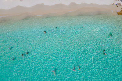 High angle view of people swimming in sea