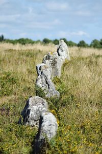 Rocks on field against sky