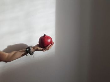 Midsection of woman holding apple against wall