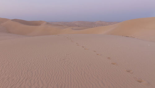 Footprints among sand dunes in desert