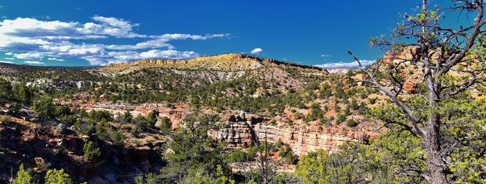 Escalante petrified forest state park views from hiking trail of the surrounding area lake utah