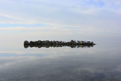 reflection
