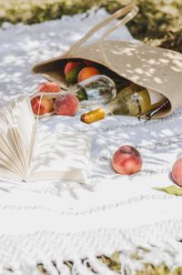High angle view of fruits on snow