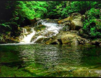 Scenic view of waterfall in forest