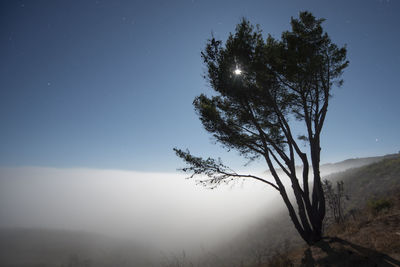 Fog envelops the santa monica mountains in malibu california