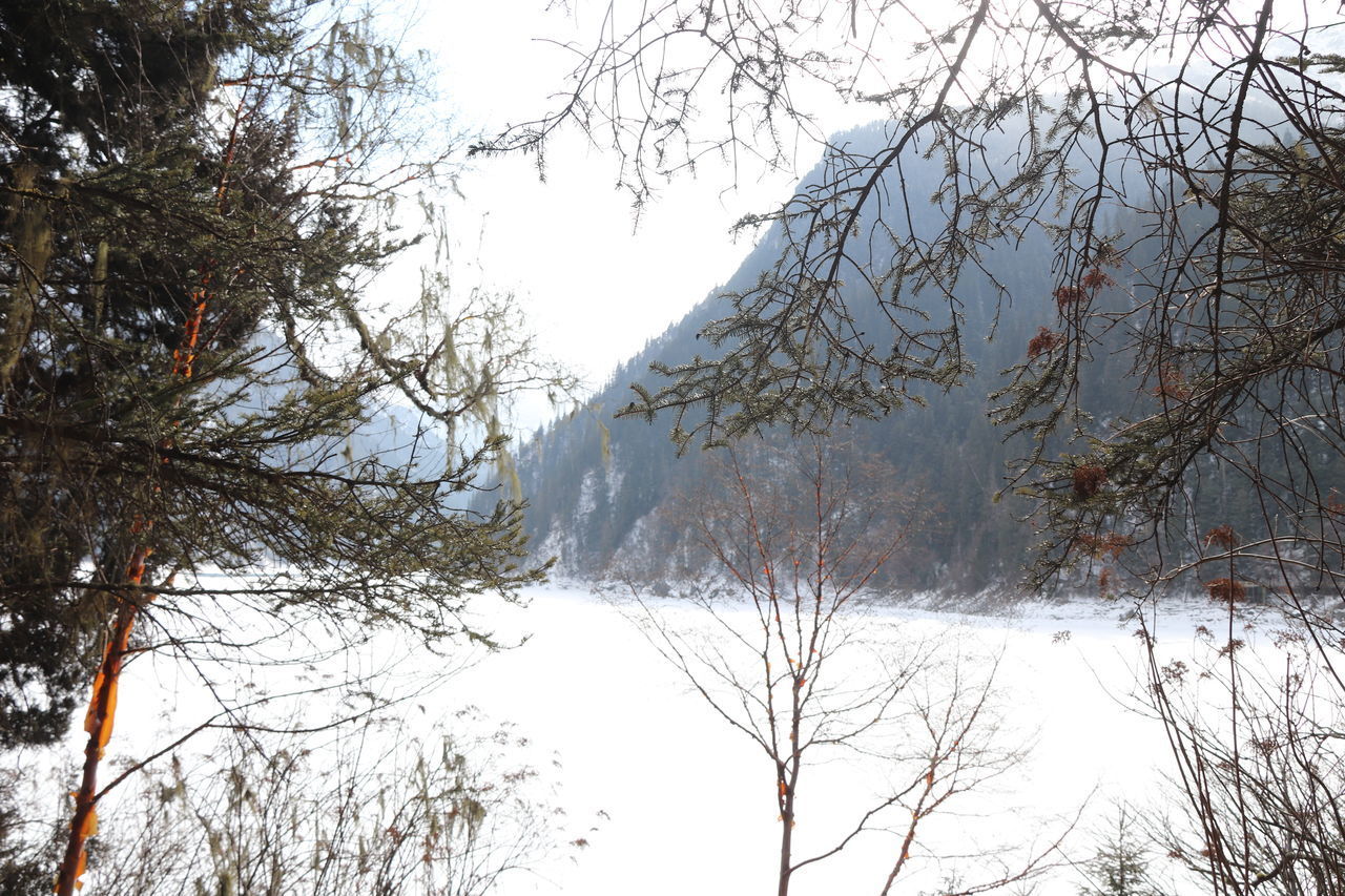 SCENIC VIEW OF SNOW COVERED MOUNTAIN AGAINST SKY