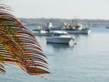 Close-up of sailboats in sea against sky