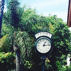 Low angle view of clock on tree against sky