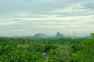 Scenic view of green landscape against sky