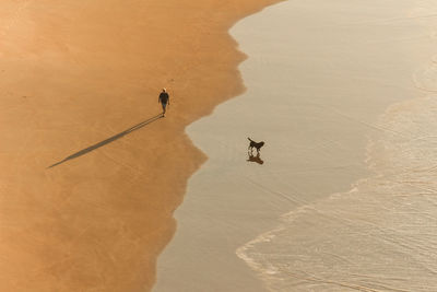 High angle view of man walking on sand at beach