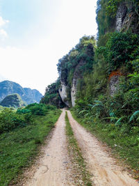 Road amidst trees against sky