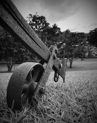 Horse cart on field against sky