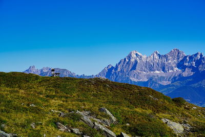 Scenic view of mountains against clear blue sky