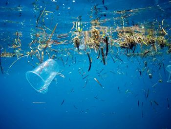 Plastic pollution/garbage in the ocean near marsa alam, egypt