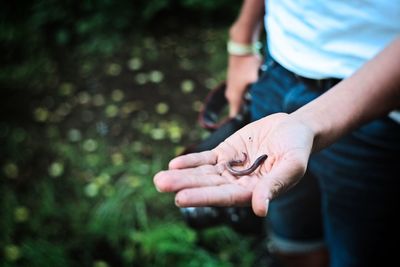 Midsection of man holding worm outdoors