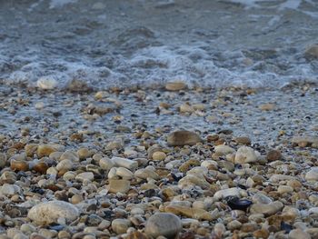 High angle view of pebbles on beach