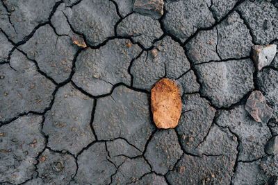 Dry soil and stones