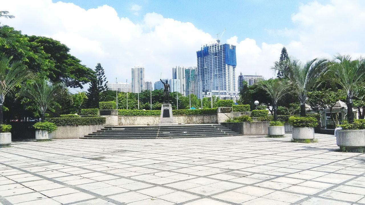 TREES IN PARK AGAINST CLOUDY SKY