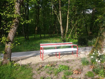 Empty benches against trees