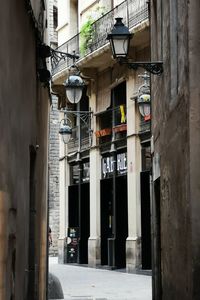 Alley amidst buildings in city