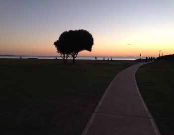 Silhouette of trees on beach at dusk