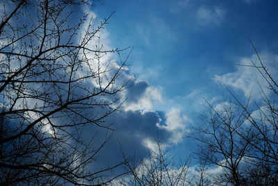 Low angle view of bare tree against blue sky