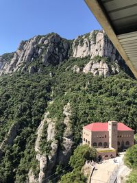 Trees and plants growing on mountain against sky