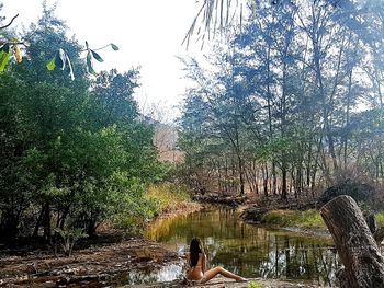 People swimming in forest against sky