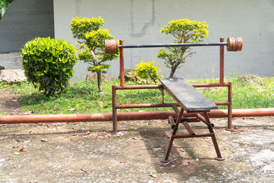 Empty bench against plants in yard