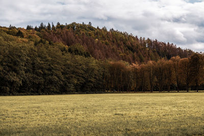 Scenic view of land against sky