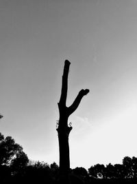 Low angle view of silhouette trees against clear sky