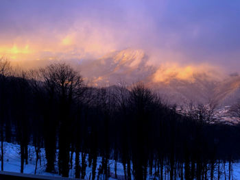 Silhouette bare trees against sky during sunset