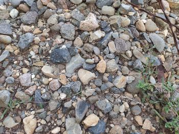 High angle view of stones