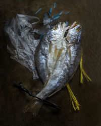 High angle view of fish on table