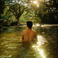 Rear view of shirtless man in swimming pool