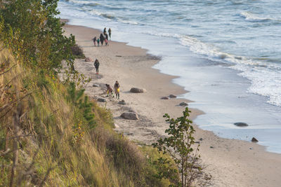 Dutchman's cap, in lithuanian olando kepure, hill or parabolic dunes with pine trees, on baltic sea