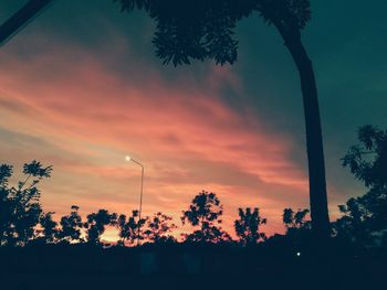 Low angle view of silhouette trees against sky at sunset