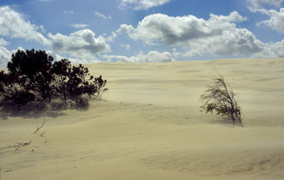 Scenic view of desert against sky