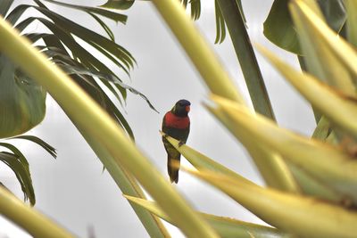 Bird perching on a branch