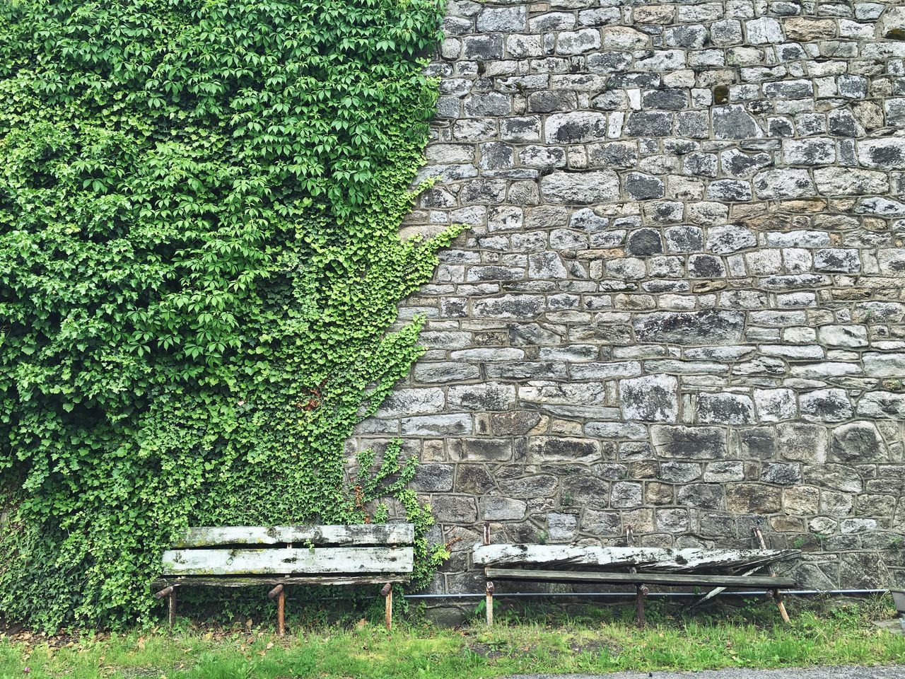 grass, plant, growth, green color, built structure, day, field, bench, abandoned, building exterior, outdoors, architecture, nature, no people, empty, wood - material, absence, old, high angle view, steps