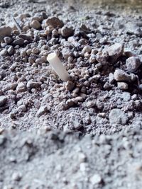 High angle view of bread on sand