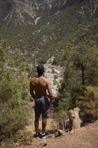 Rear view of shirtless man standing in forest