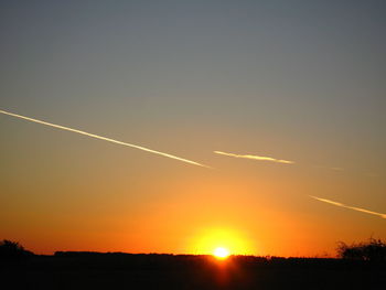 Silhouette of trees at sunset