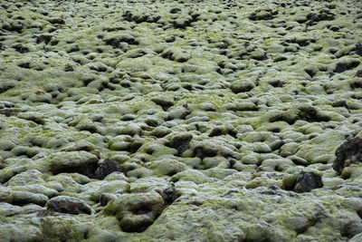 Full frame shot of rocks