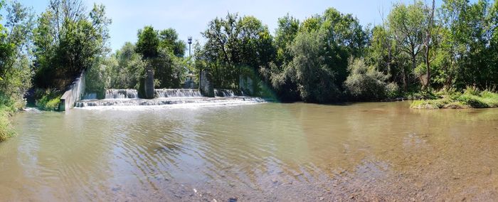 Scenic view of river amidst trees against sky